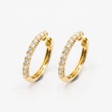 Diamond_hoops