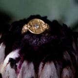 Two_Faced_ring_TheLongKiss