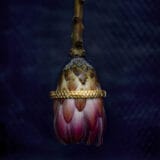 Scale_Bangle_sparkle